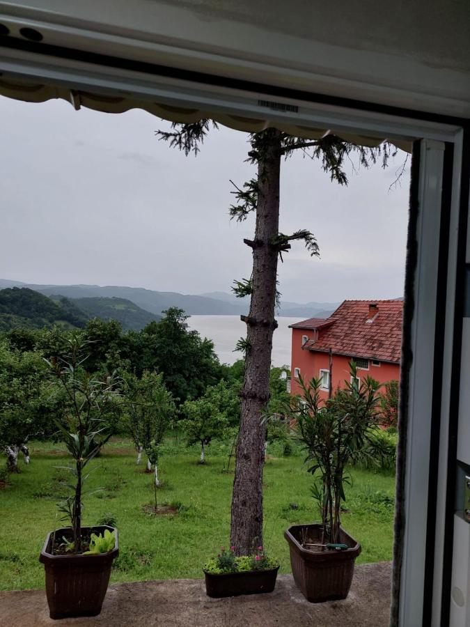 Apartmani Kuljanin Donji Milanovac Room photo