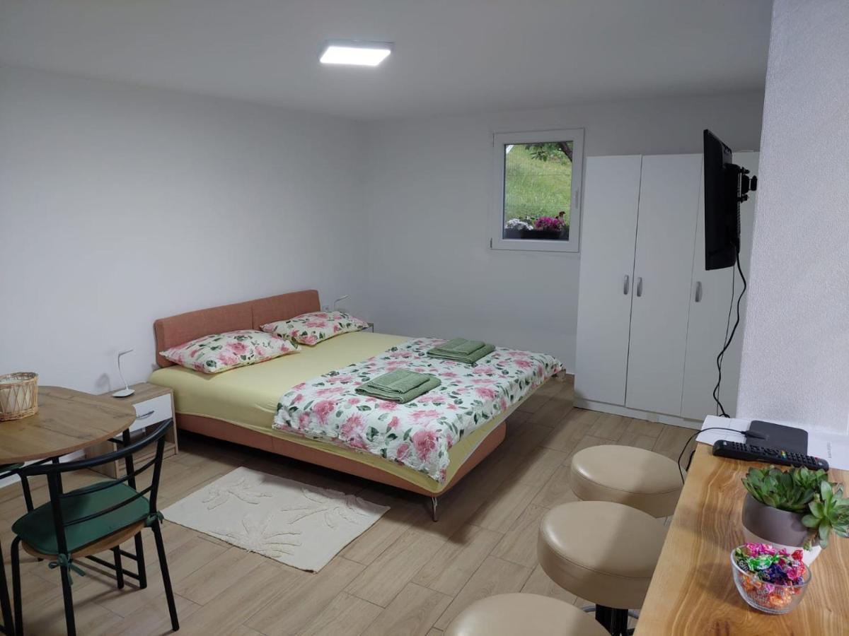 Apartmani Kuljanin Donji Milanovac Room photo